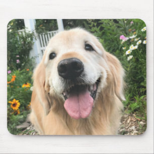 Golden Retriever-Hund i Blomsterträdgård Musmatta