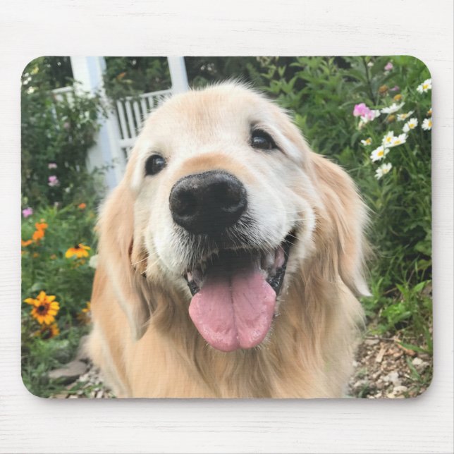 Golden Retriever-Hund i Blomsterträdgård Musmatta (Framsidan)