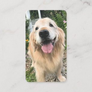 Golden Retriever-Hund i bokmärke för Blomstertr Visitkort