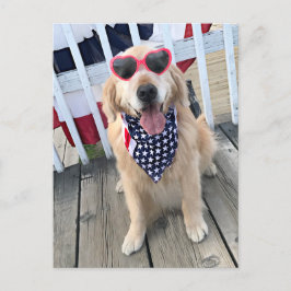 Golden Retriever Hund i Independence day Glass Vykort