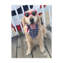 Golden Retriever Hund i Independence day Glass