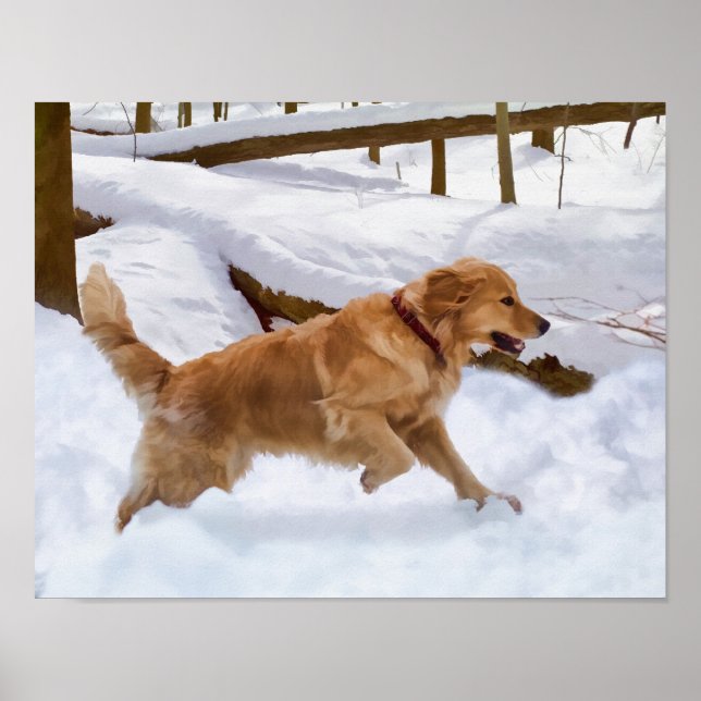 Golden Retriever-Hund i Snö Poster (Framsidan)