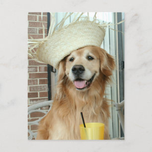 Golden Retriever Hund i Straw Hat Lycklig Summer Vykort