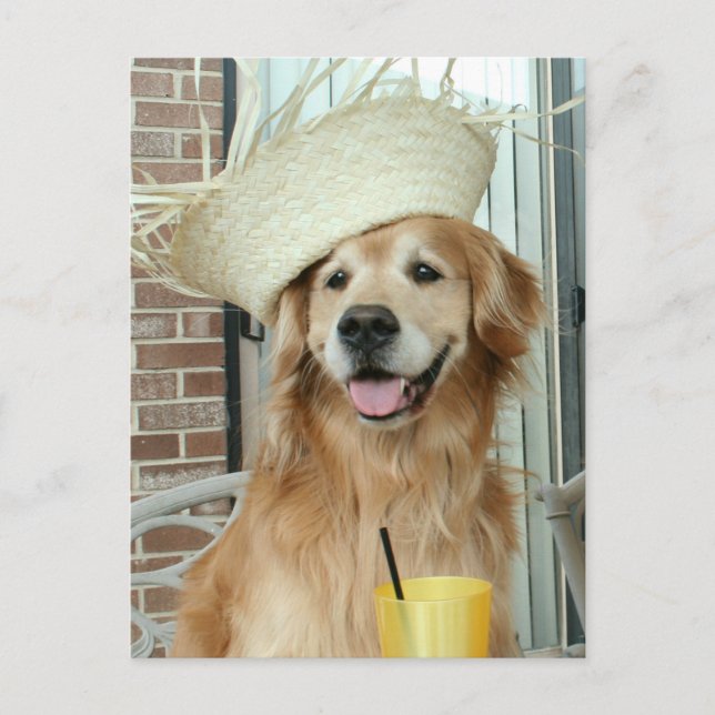 Golden Retriever Hund i Straw Hat Lycklig Summer Vykort (Framsida)