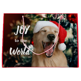 Golden Retriever Hund Joy till jul