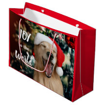 Golden Retriever Hund Joy till jul