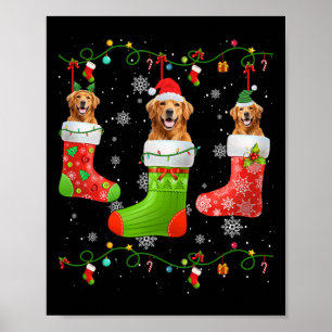 Golden Retriever Hund jul Socks Ljus Puppy Poster