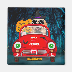 Golden Retriever Hund Kör Bil Skräck Halloween Magnet