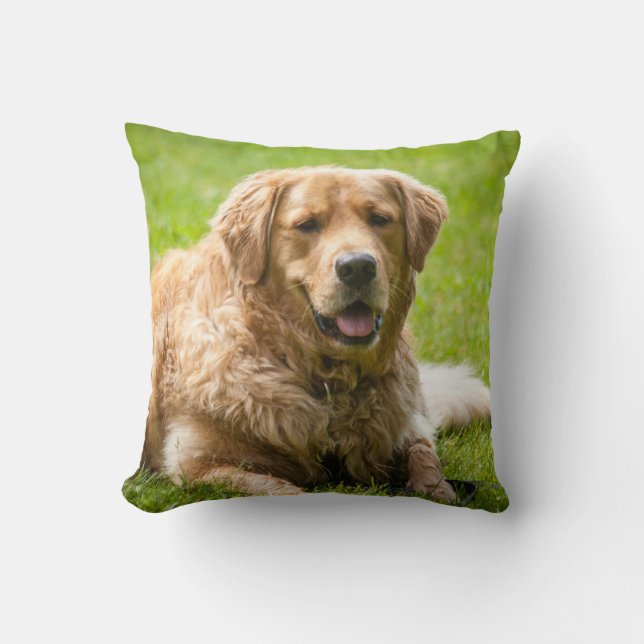 Golden Retriever Hund Kudde (Framsida)