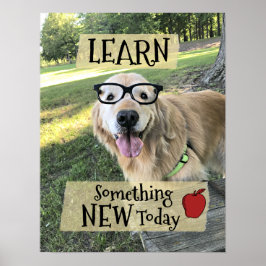 Golden Retriever Hund Läs något nytt klassrum Poster