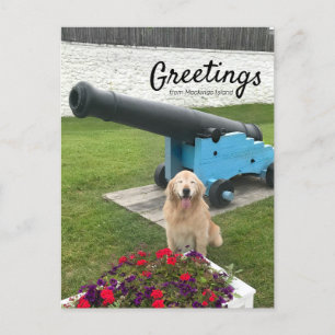 Golden Retriever Hund Mackinac Island Travel Vykort