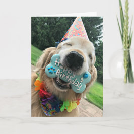 Golden Retriever Hund med Beat Grattis på födelsed Kort
