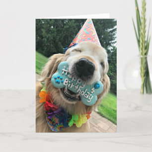 Golden Retriever Hund med Beat Grattis på födelsed Kort