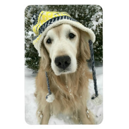 Golden Retriever Hund med cute Hat i Snö Magnet