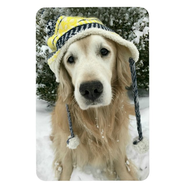 Golden Retriever Hund med cute Hat i Snö Magnet (Vertikal)