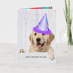 Golden Retriever Hund med födelsedagsfest hat Kort