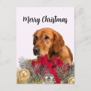 Golden Retriever Hund med juldekorationer Vykort