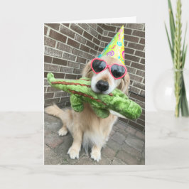 Golden Retriever Hund med Leksak Grattis på födels Kort