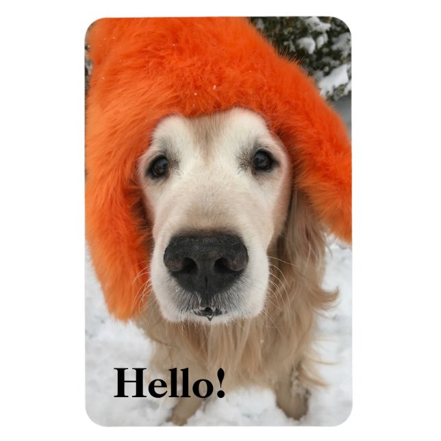 Golden Retriever Hund med Orange Fuzzy Hat i Snö Magnet (Vertikal)