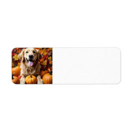 Golden Retriever Hund med Pumpkins & Lövs-etikett Returadress Etikett