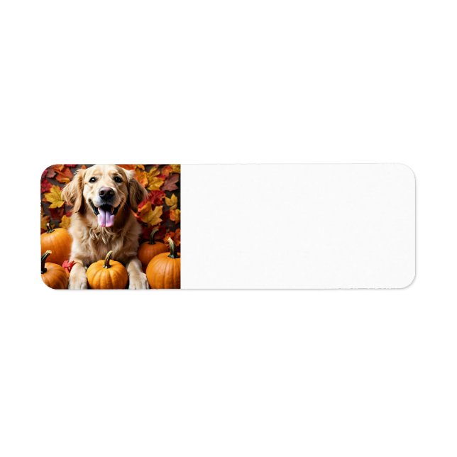 Golden Retriever Hund med Pumpkins & Lövs-etikett Returadress Etikett (Framsidan)