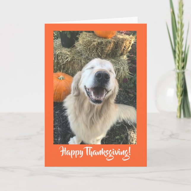 Golden Retriever Hund med Pumpkins Thanksgiving Helgkort (Framsida)