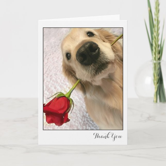 Golden Retriever Hund med Röd ros Tack (Framsida)