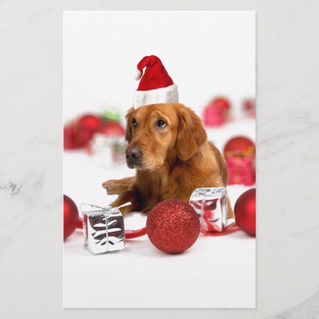 Golden Retriever Hund Med Röd Tomtehatt Jul (Framsida)