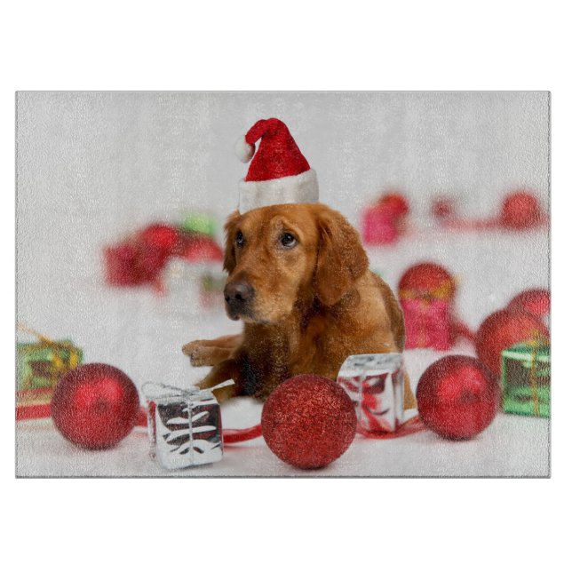Golden Retriever Hund Med Röd Tomtehatt Jul (Framsidan)