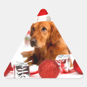 Golden Retriever Hund Med Röd Tomtehatt Jul Triangelformat Klistermärke