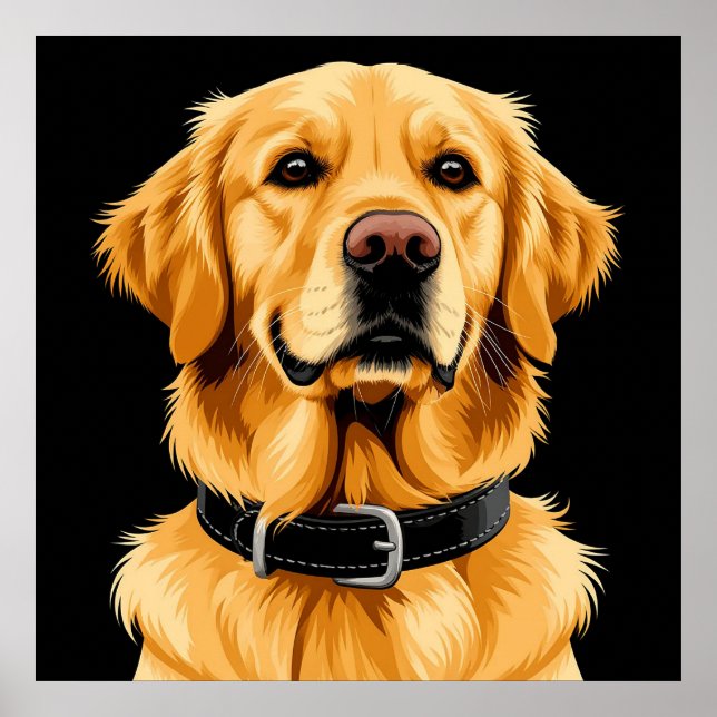 Golden Retriever Hund med Svart Halsband Poster (Framsidan)