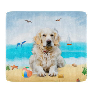 Golden Retriever Hund på Beach