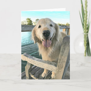 Golden Retriever-Hund på en Dock Thinking of You Kort