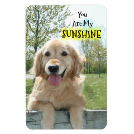 Golden Retriever-Hund på stängslet du är min solsk Magnet