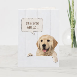 Golden Retriever-hund på vitt trä Kort