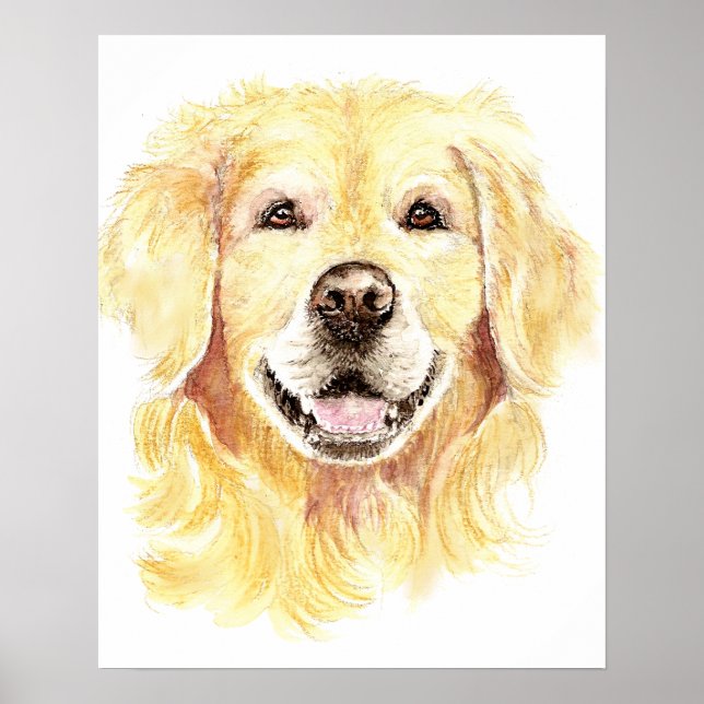 Golden Retriever Hund Pet Animal Vattenfärg Poster (Framsidan)