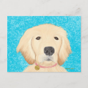 Golden Retriever Hund Postcard Blue Vatten Vykort