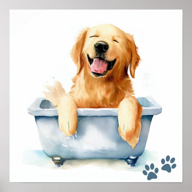 Golden Retriever Hund Poster (Framsidan)