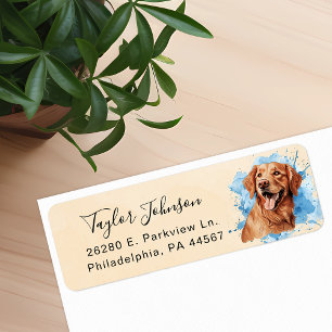 Golden Retriever Hund Returadressetikett Returadress Etikett