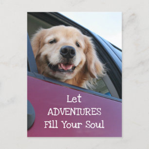 Golden Retriever Hund Säker Travel Äventyr Vykort