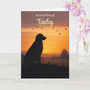 Golden Retriever Hund Sympati Silhuett Hund Namn Kort