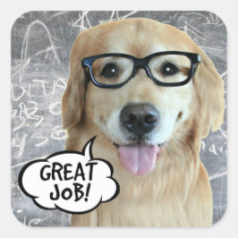 Golden Retriever Hund Underbar Job Teacher Reward Fyrkantigt Klistermärke