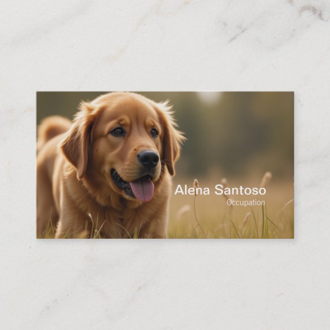 Golden Retriever Hund Visitkort (Framsida)