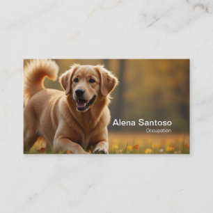 Golden Retriever Hund Visitkort