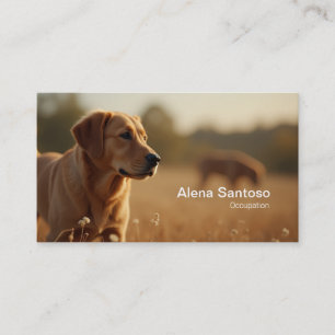 Golden Retriever Hund Visitkort
