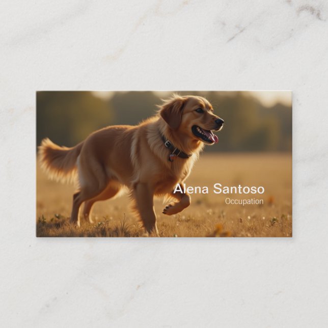 Golden Retriever Hund Visitkort (Framsida)