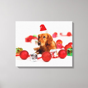 Golden Retriever Hund W Red Santa Hat jul Canvastryck