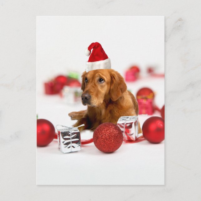 Golden Retriever Hund W Red Santa Hat jul Helg Vykort (Framsida)