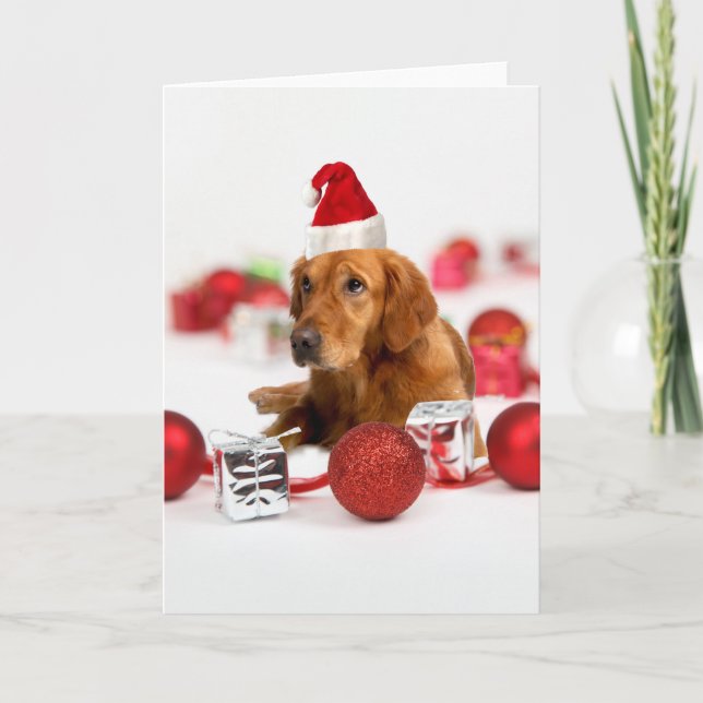 Golden Retriever Hund W Red Santa Hat jul Helgkort (Framsida)