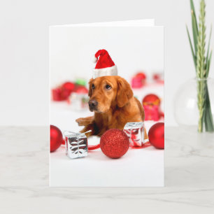 Golden Retriever Hund W Red Santa Hat jul Helgkort